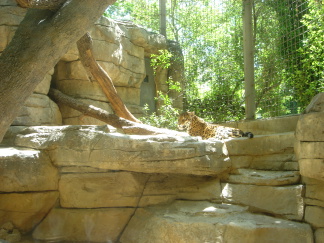 2006-04-08 13-55-02.JPG